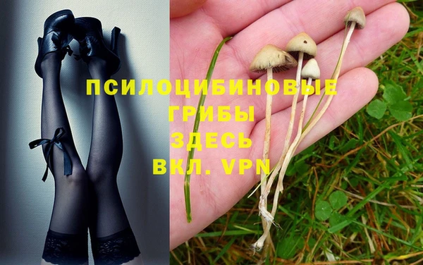 соль ск Няндома