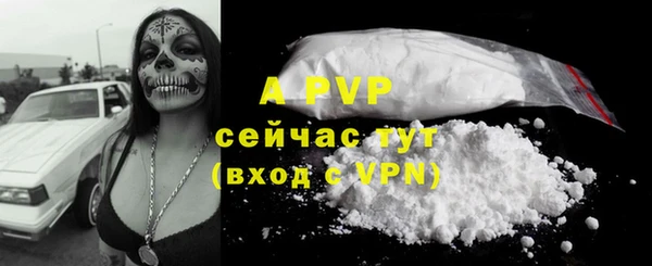 mdpv Вяземский