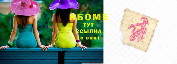 соль ск Няндома