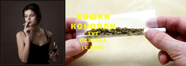 соль ск Няндома
