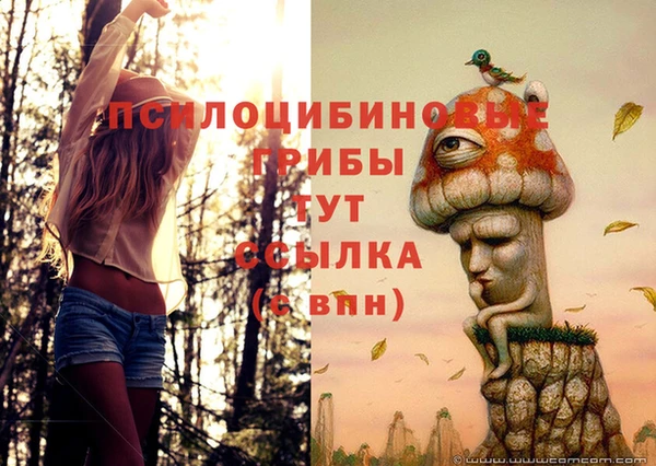 трава Нязепетровск