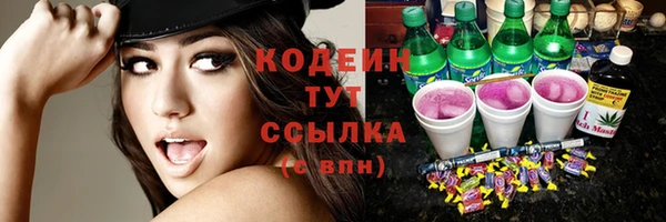 соль ск Няндома
