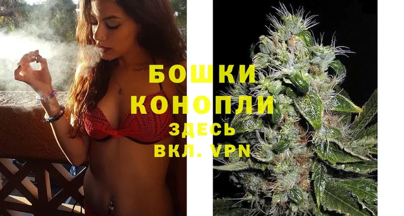 MEGA вход  купить наркотик  Пучеж  Шишки марихуана THC 21% 